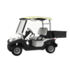 EMC Vantage SWB 2-seat short tray utility vehicle