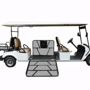 EMC wheelchair-accessible electric vehicle