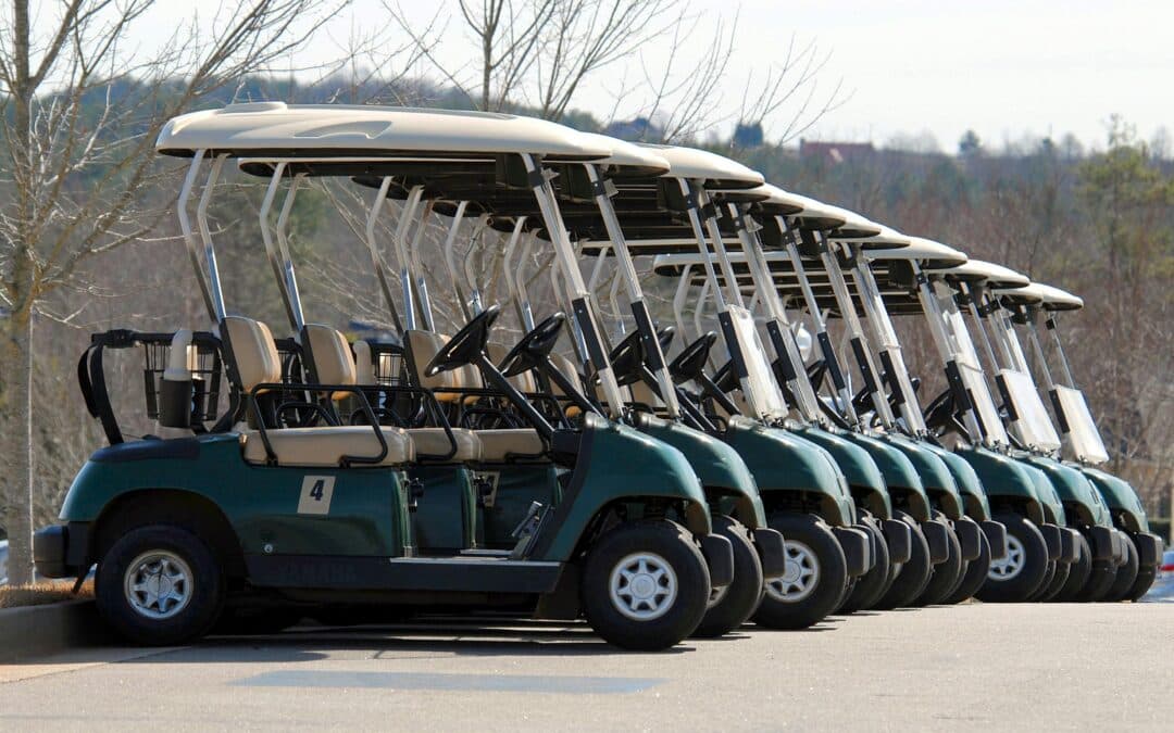Electric Buggies vs Golf Carts: What’s the Real Difference for Commercial Use?